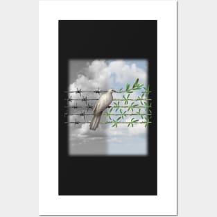 Dove With Olive Branch and Barbed Wire Posters and Art